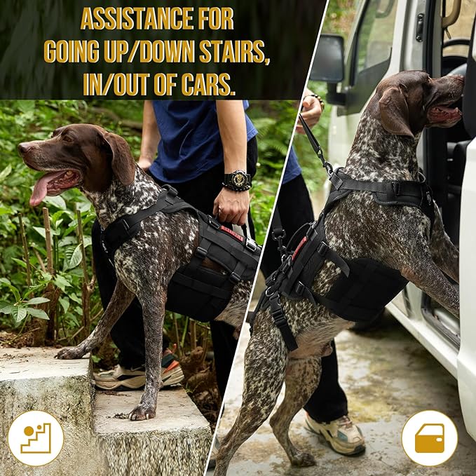 OneTigris Dog Lift Harness for Large Dogs, Dog Hip Support Brace, Full Body Dogs Lifter with Handles Invictus Multifunctional Mobility Assistance Vest for Back Legs (Black, Medium)