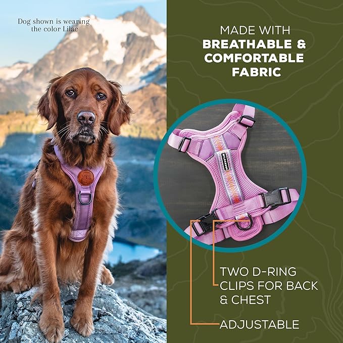 Wilderdog Lightweight Dog Harness with Reflective Straps - Medium - Pacific Blue
