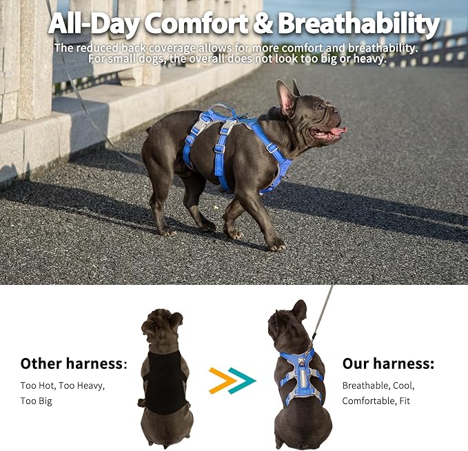Escape Proof Dog Harness, Secure Dog Harness No Escape, Fully Reflective Harness with Handle,Breathable,Durable, Adjustable Vest for Small Dogs Walking, Training,and Running Gear (Sea Blue,S)