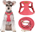 Puppytie Small Dog Harness and Leash Set, Red Camellia, S (9-17.5 lbs) | Dog Harness Small Sized Dog, Dog Leash for Small Dogs, Soft and Lightweight, Puppytie Dog Harness for Daily Walks