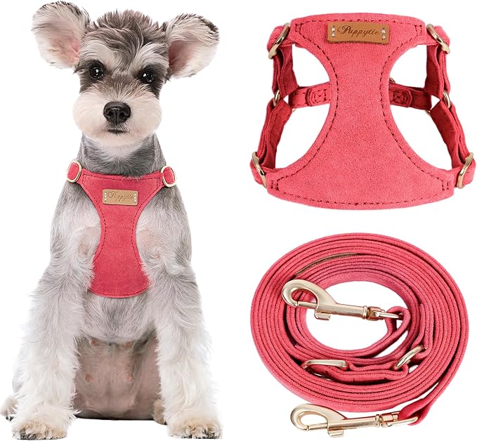 Puppytie Small Dog Harness and Leash Set, Red Camellia, S (9-17.5 lbs) | Dog Harness Small Sized Dog, Dog Leash for Small Dogs, Soft and Lightweight, Puppytie Dog Harness for Daily Walks