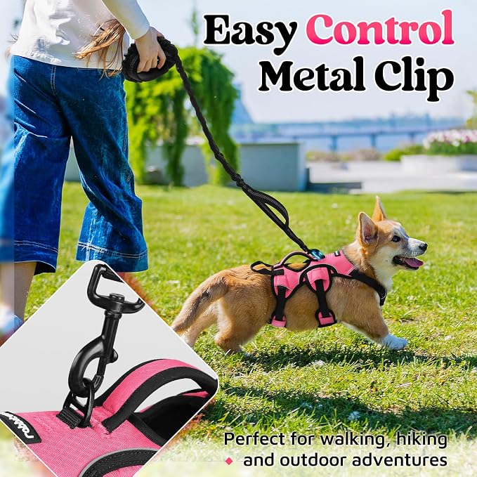 rabbitgoo Escape Proof Dog Harness for Small, No Pull with Lift Handle | No Escape, Full Soft Padded, Reflective Adjustable Vest, Leash Clip for Walking Hiking Training, Peach Pink, Small