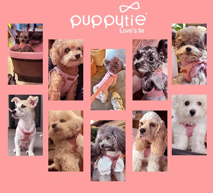 Puppytie XS Dog Harness and Leash Set, Pink, XS (4.5-11 lbs) | Extra Small Dog Harness, Puppy Harness and Leash, Soft Lightweight and Adjustable, Small Dog Harness for Daily Walks
