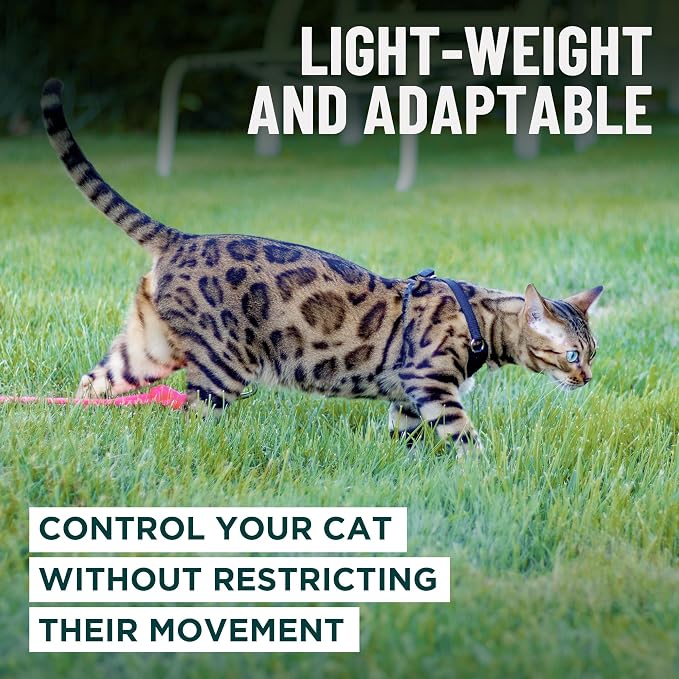 Houdini™ Escape Proof Cat Harness and Leash (Turquoise, M/L) | Adjustable walking vest with 6ft lead, breathable mesh, secure snug fit, lightweight for travel, hikes and daily adventures