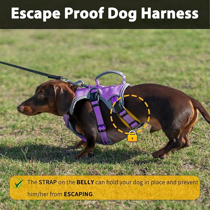 Escape Proof Dog Harness, Dachshund Harness, Reflective Dog Harness with Handle, Durable,Adjustable Vest for Small Medium Large Dogs Walking, Training, and Running Gear (Lavender Purple,XL)