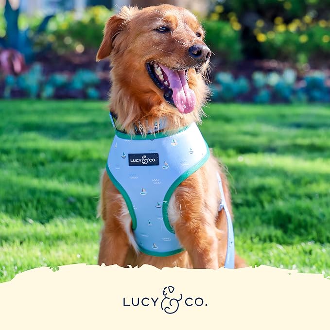 Lucy & Co. Reversible Dog Harness - Water-Repellent Neoprene, Dual-Print Design, Easy Swap Style, Adjustable Comfort Fit - Set Sail Reversible Harness - X-Large