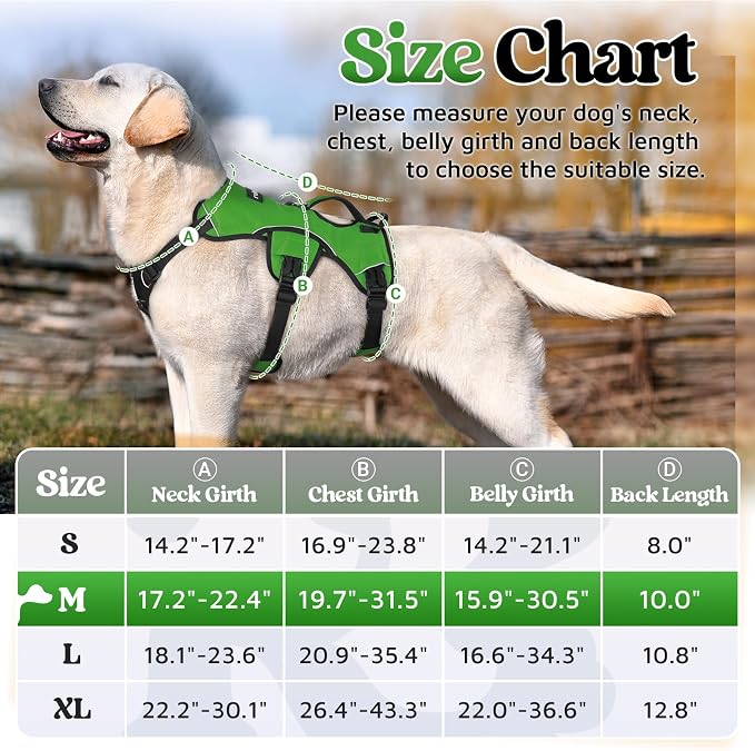 rabbitgoo Escape Proof Dog Harness for Medium, No Pull with Lift Handle | No Escape, Full Soft Padded, Reflective Adjustable Vest, Leash Clip for Walking Hiking Training, Green, Medium