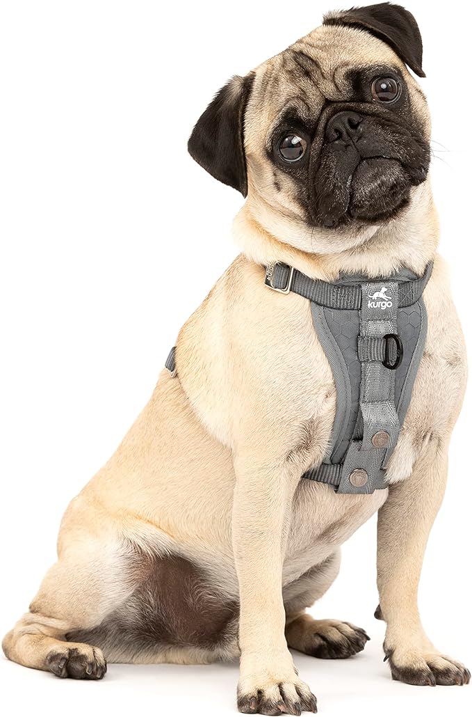 Kurgo Enhanced Strength Tru-Fit Smart Harness, Charcoal, Extra Small | Crash Tested Car Harness for Dogs up to 75Lbs, Seatbelt Tether & Steel Carabiner, All-Steel Buckles, Padded Chest for Comfort