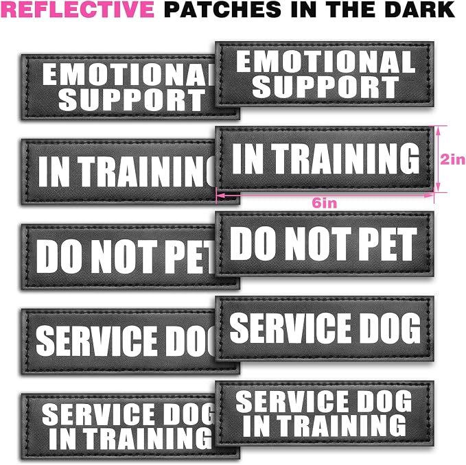 Service Dog Vest Harness for Large Dog, Tactical Working MOLLE Vest with 10 Pet Patches, No Pull Heavy Duty Harness for Training Walking