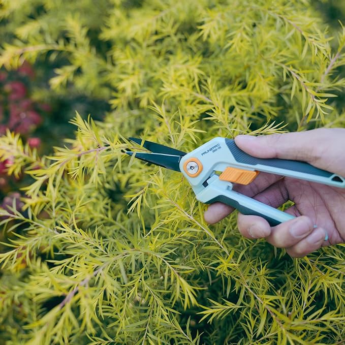 PrunePro Garden Scissors Pruning Shears Sharp Stainless Steel Non-Stick Teflon Coating Blade for Precise Cuts Garden Snip Bonsai Clippers for Plants Rose Flower 3 Pack