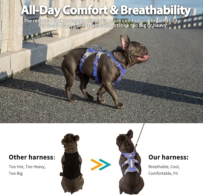 Escape Proof Dog Harness, No Pull Reflective Harness with Lift Handle, Adjustable Pet Vest with Front and Back Leash Clips for Small Medium Large Dogs Walking Hiking Training (Vista Blue,XL)