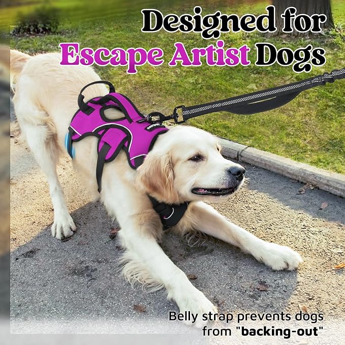 rabbitgoo Escape Proof Dog Harness for Large, No Pull with Lift Handle | No Escape, Full Soft Padded, Reflective Adjustable Vest, Leash Clip for Walking Hiking Training, Purple, Large