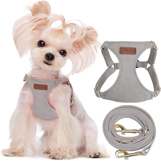 Puppytie XS Dog Harness and Leash Set, Silver Grey, XS (4.5-11 lbs) | Extra Small Dog Harness, Puppy Harness and Leash, Soft Lightweight and Adjustable, Xsmall Dog Harness for Daily Walks