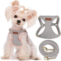 Puppytie XXS Puppy Harness and Leash Set, Silver Grey, XXS (2.2–6 lbs) | Puppy Harness for Small Dogs, Teacup and Yorkie Harness, Soft Lightweight and Adjustable, XXS Dog Harness for Daily Walks