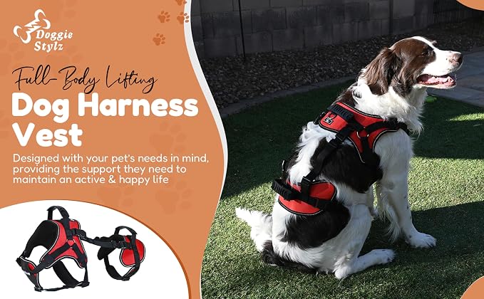 Doggie Stylz Multi-Functional Full-Body Lifting Dog Harness Vest | Designed for Front-Only, Rear-Only, Please Measure Before Ordering