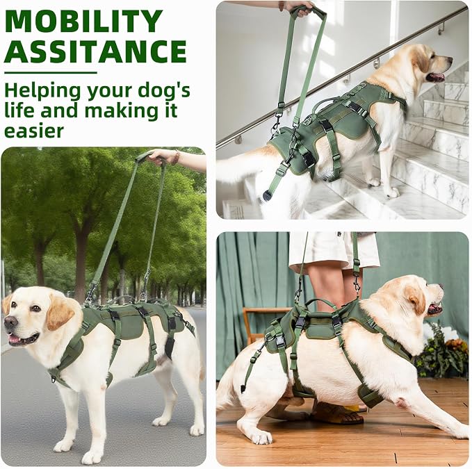 PUPTECK Dog Lift Harness for Medium Large Sized Dog, Rehabilitation Sling for Hind Leg Support, Multifunctional Mobility Assistance Harness for Old, Disabled, Joint Injuries, Paralysis Dogs, Green L