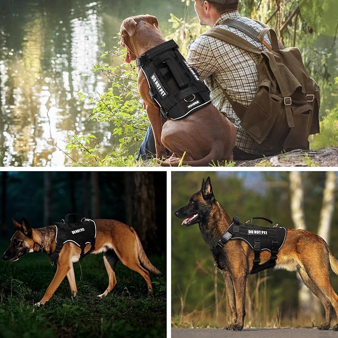 Tactical Molle Vest Mesh Dog Harness with 10 Removale Pet Patches | Breathable Service Dog harness with Double Soft Padded Handle for Large Dog, Reflective Military Pet Vest for Walk Hiking