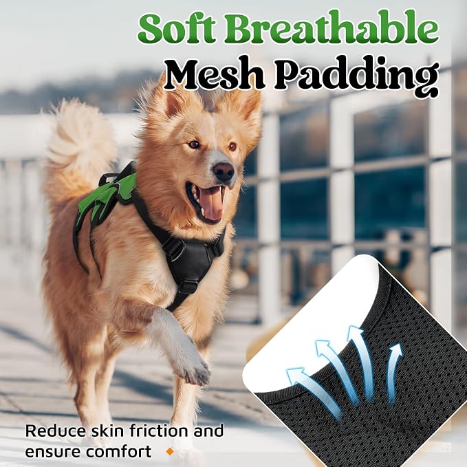 rabbitgoo Escape Proof Dog Harness for Large, No Pull with Lift Handle | No Escape, Full Soft Padded, Reflective Adjustable Vest, Leash Clip for Walking Hiking Training, Green, Large