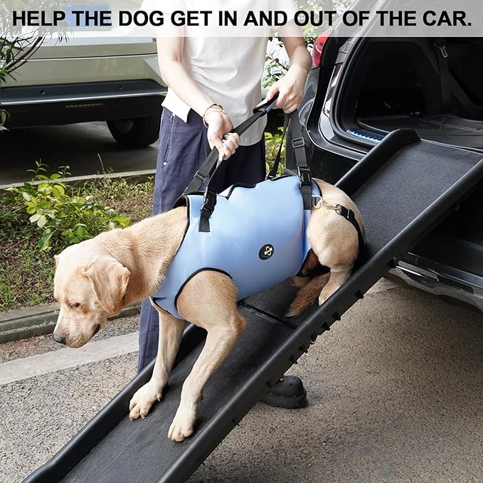 Coodeo Dog Lift Harness, Pet Support & Rehabilitation Sling Lift Adjustable Padded Breathable Straps for Old, Disabled, Joint Injuries, Arthritis, Loss of Stability Dogs Walk (Blue, 2XL)