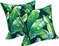 LVTXIII Outdoor/Indoor Throw Pillows, Decorative Throw Pillows with Inserts, 18"x18" Square Pillows for Bed, Couch, Sofa and Patio Furniture (Set of 2, Hanalei Lagoon)