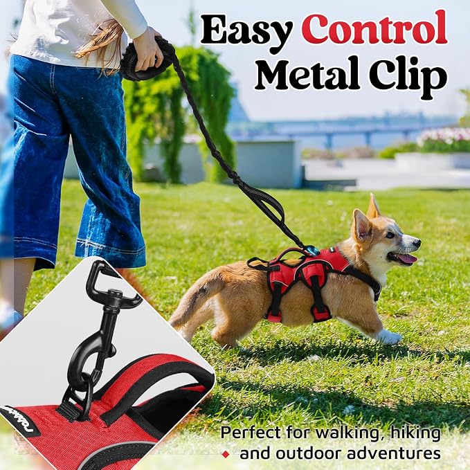 rabbitgoo Escape Proof Dog Harness for Small, No Pull with Lift Handle | No Escape, Full Soft Padded, Reflective Adjustable Vest, Leash Clip for Walking Hiking Training, Red, Small