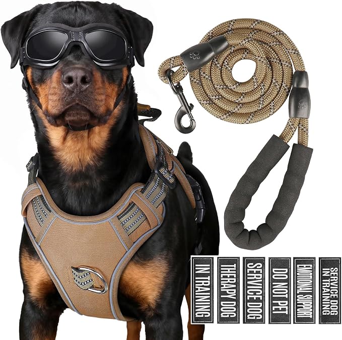 3-in-1 Dog Vest Harness Leash Set for Daily,Service,Training Animal Medium