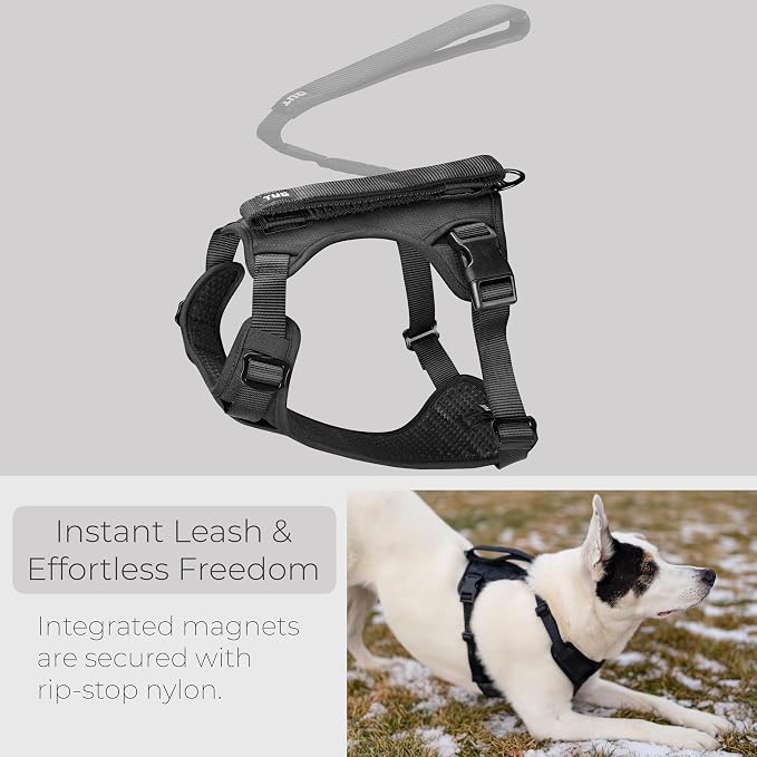 TUG Grab Dog Harness with Built-in Magnetic Traffic Leash (Large/Black) | Padded Magnetic Traffic Leash | Dual Leash Clips | 4-Point Adjustable Fit | Durable Nylon