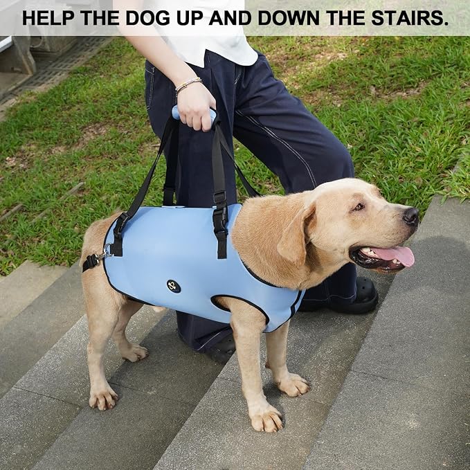 Coodeo Dog Lift Harness, Pet Support & Rehabilitation Sling Lift Adjustable Padded Breathable Straps for Old, Disabled, Joint Injuries, Arthritis, Loss of Stability Dogs Walk (Blue, 2XL)