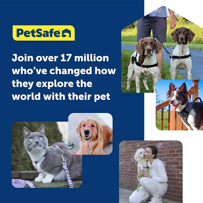 PetSafe Easy Walk Harness for Dogs - Pull-Free Walks - Patented Martingale Loop Design - Front Chest Leash Attachment - Comfort Straps - Breathable Harness Design - Medium, Charcoal/Black (Pack of 3)