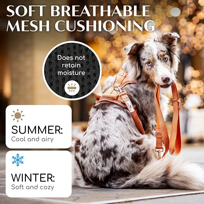 Freudentier No Pull Dog Harness with Handle, Front & Back Clips, Reflective | Soft breathable mesh padding - perfect fit with no chafing or slipping - comfortable dog vest for small, medium & large dogs