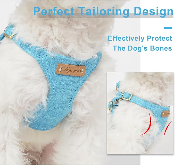 Puppytie Small Dog Harness and Leash Set, Ocean Blue, S (9-17.5 lbs) | Dog Harness Small Sized Dog, Dog Leash for Small Dogs, Soft and Lightweight, Puppytie Dog Harness for Daily Walks