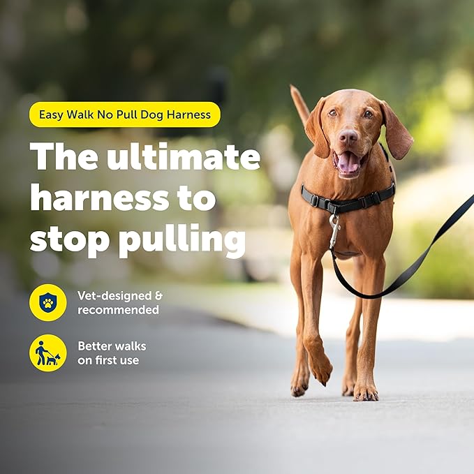 PetSafe Easy Walk Harness, No Pull Dog Harness, Black, Medium | Patented Martingale Loop Gives Gradual Shoulder Pressure to Stop Pulling, Front-Chest Leash Clip Prevents Gagging