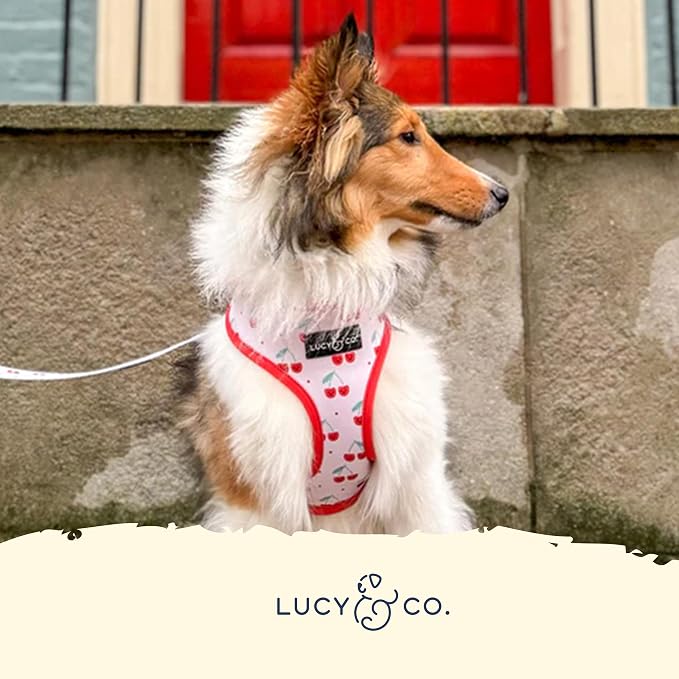 Lucy & Co. Reversible Dog Harness - Water-Repellent Neoprene, Dual-Print Design, Easy Swap Style, Adjustable Comfort Fit - Cheery Cherries Reversible Harness - X-Large