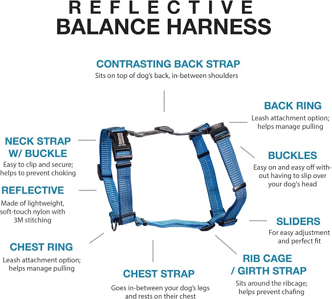 Blue-9 Reflective Buckle-Neck Balance Harness, Fully Customizable Fit No-Pull Harness with 3M Reflective Stitching, Ideal for Dog Training and Obedience, Made in The USA, Blue, Medium