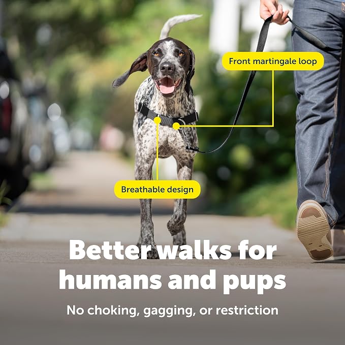 PetSafe Easy Walk Harness, No Pull Dog Harness, Fawn, Medium/Large | Patented Martingale Loop Gives Gradual Shoulder Pressure to Stop Pulling, Front-Chest Leash Clip Prevents Gagging
