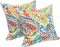 LVTXIII Outdoor Throw Pillows, Decorative Throw Pillows with Inserts, 20"x20" Square Pillows for Bed, Couch, Sofa and Patio Furniture, Set of 2, Paisley Multi