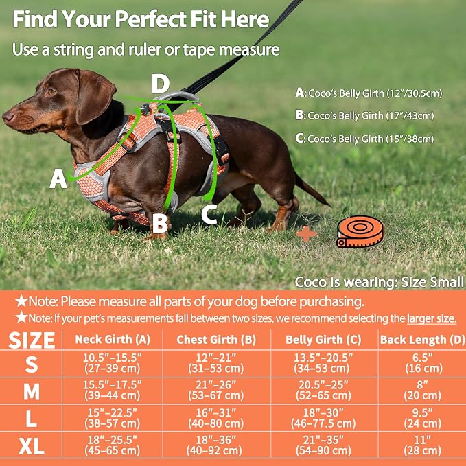 Escape Proof Dog Harness, Dachshund Harness, Reflective Dog Harness with Handle, Durable,Adjustable Vest for Small Medium Large Dogs Walking, Training, and Running Gear (Orange,L)