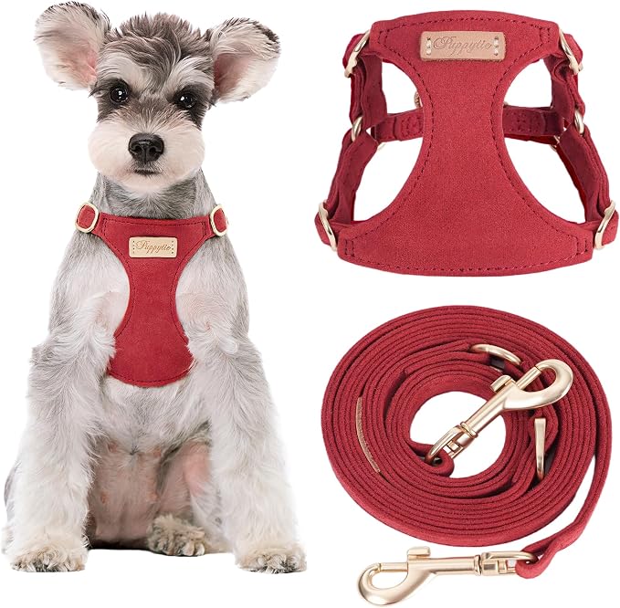 Puppytie Dog Harness and Leash Set, Red Hawthorn, M (16.5-31 lbs) | Harness Small Size Dog, Dog Leash for Small Dogs, Soft Lightweight and Adjustable, Small Dog Harness for Daily Walks