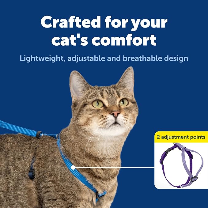 PetSafe Come with Me Kitty Harness and Bungee Cat Leash, Royal Blue, Large | Adjustable 2-Point Fit Applies Gentle Pressure to Shoulders, Not Neck, for Average and Large Cats with 13 in - 18 in Girth