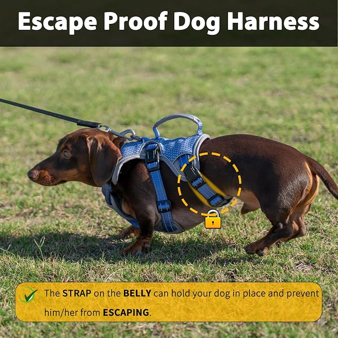 Escape Proof Dog Harness, Dachshund Harness, Reflective Dog Harness with Handle, Durable,Adjustable Vest for Small Medium Large Dogs Walking, Training, and Running Gear (Technicolor Blue,S)