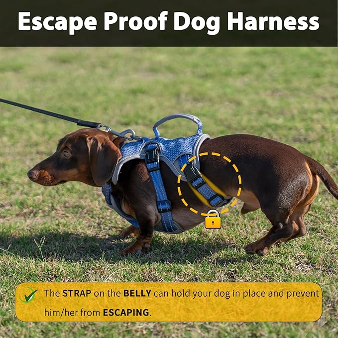 Escape Proof Dog Harness, Dachshund Harness, Reflective Dog Harness with Handle, Durable,Adjustable Vest for Small Medium Large Dogs Walking, Training, and Running Gear (Technicolor Blue,XL)