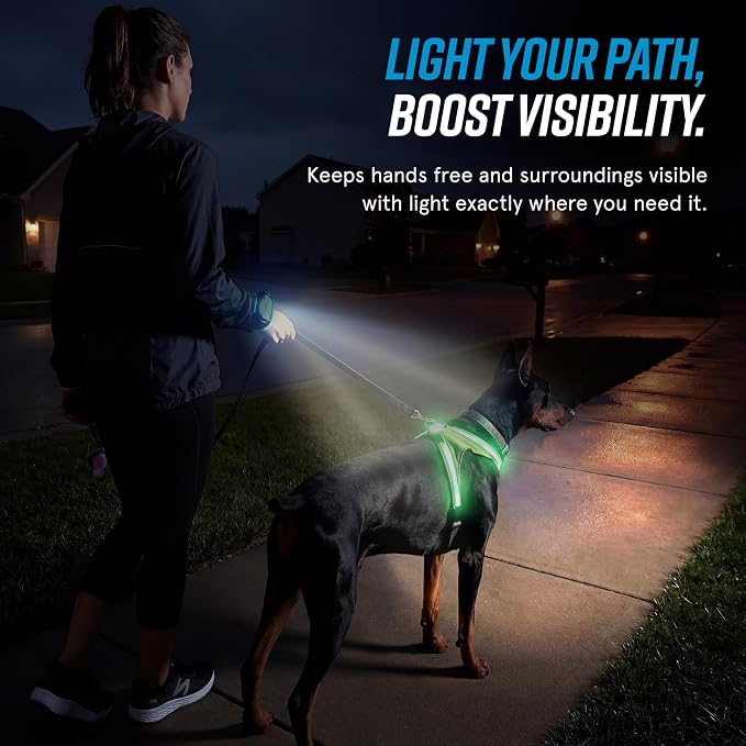 noxgear LightHound Light Up Reflective Dog Harness and Wrist Light, Small | 360° Light Up Reflective Dog Harness, 8 Colors & 6 Modes, USB Rechargeable, Adjustable, Rainproof, LED Fiber Optic