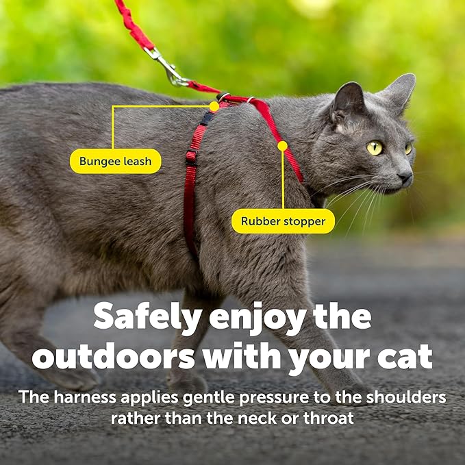PetSafe Come With Me Kitty Harness and Bungee Leash, Harness for Cats, Medium, Red/Cranberry, Model:CWMK-M-RED | Adjustable 2-Point Fit Applies Gentle Pressure to Shoulders, Not Neck, for Small & Average Cats with 10.5 in - 14 in Girth
