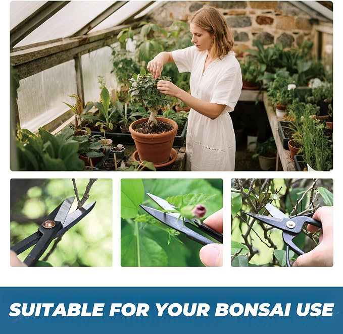 14PCS Bonsai Tools Set, Bonsai Tree Kit, Carbon Steel Trimming Gardening Tool Set, Include Bonsai Scissors, Pruning Shears, Wire Cutters, Jin Pliers, Rake with Spatula Starter Kit