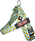 Adjustable Dog Harness– No Pull, No Choke – for English Bulldogs, French Bulldogs, Pugs & Broad-Chested Breeds – Easy, Safe Walks (Taco, Large)
