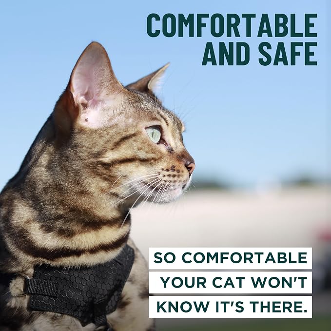 Houdini™ Escape Proof Cat Harness and Leash (Turquoise, M/L) | Adjustable walking vest with 6ft lead, breathable mesh, secure snug fit, lightweight for travel, hikes and daily adventures