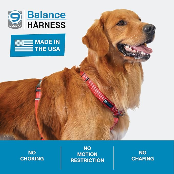 Blue-9 Reflective Buckle-Neck Balance Harness, Fully Customizable Fit No-Pull Harness with 3M Reflective Stitching, Ideal for Dog Training and Obedience, Made in The USA, Red, Small