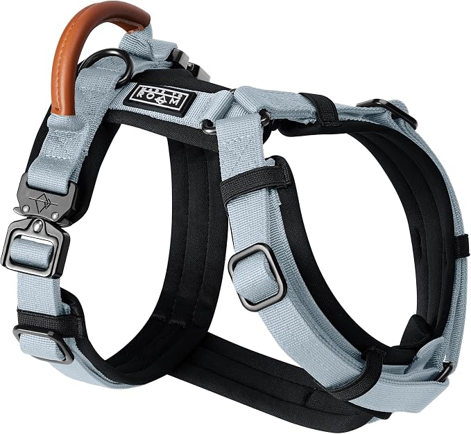 MADE TO ROAM Premium Explorer Harness - Y-Shaped Dog Harness with Adjustable Durable Nylon, Soft Padding, Metal Buckles and Leather Handle for Small, Medium, Large Dogs (Alaska Daybreak, Size 3)