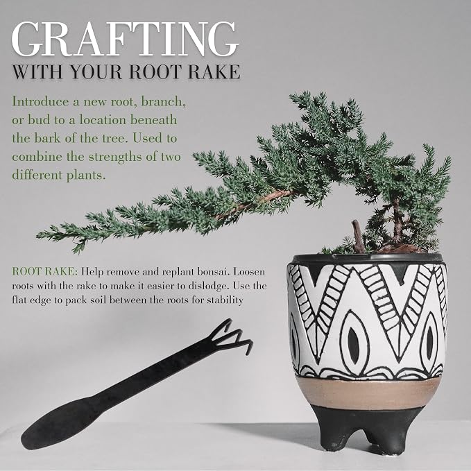 BambooMN Bonsai 10pc Advanced Care Set, Black Carbon Steel Tools, Shears, Concave & Knob Cutter, Wire Cutter, Trimming Scissor, Beginner Friendly