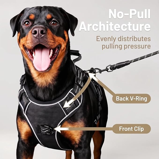 3-in-1 Dog Vest Harness Leash Set for Daily,Service,Training Animal Small